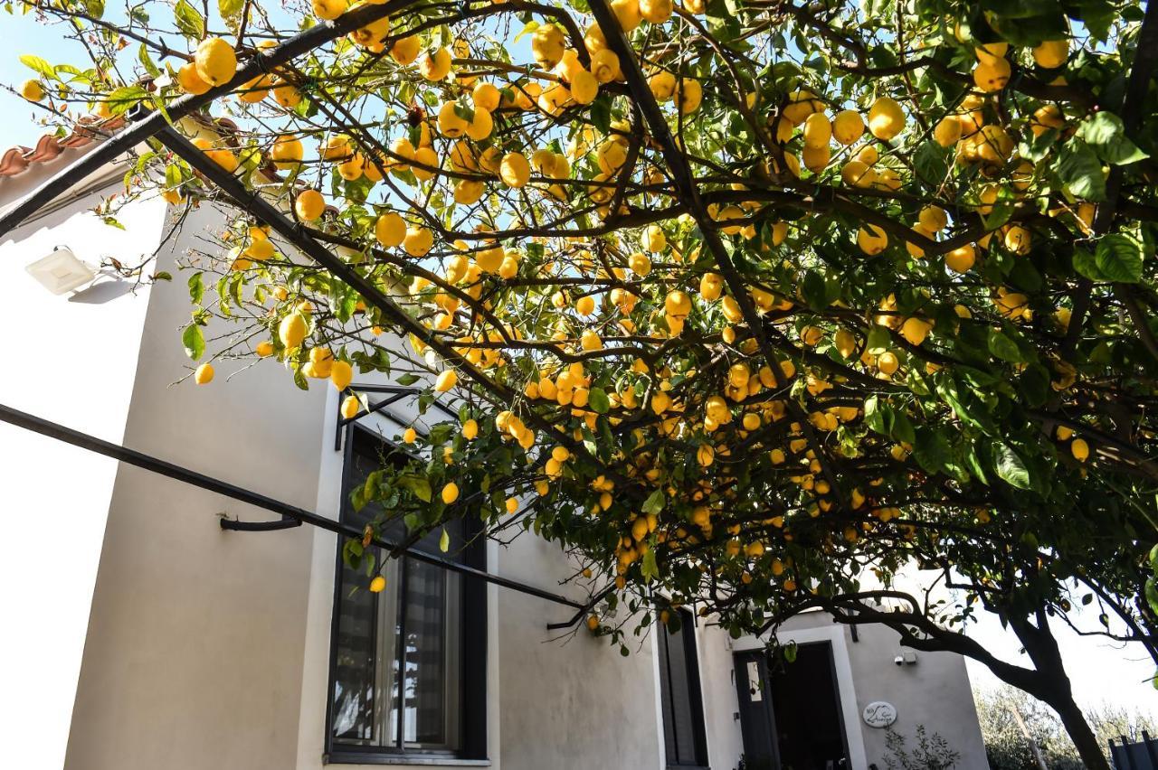 B&B Guest Armonie Torre del Greco Exterior foto